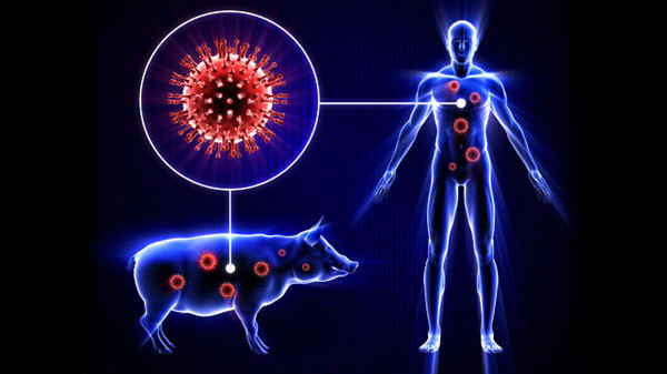 grippe h1n1 flu in mauritius