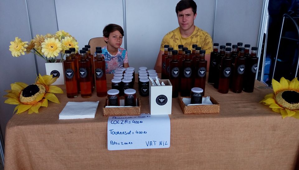 Lhuile de tournesol