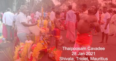 Thaipoosam Cavadee Mauritius Fasting Date Model Design